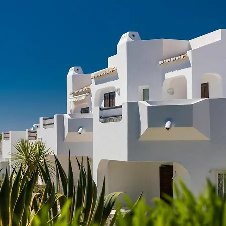 Stork Nests Al By Clube *